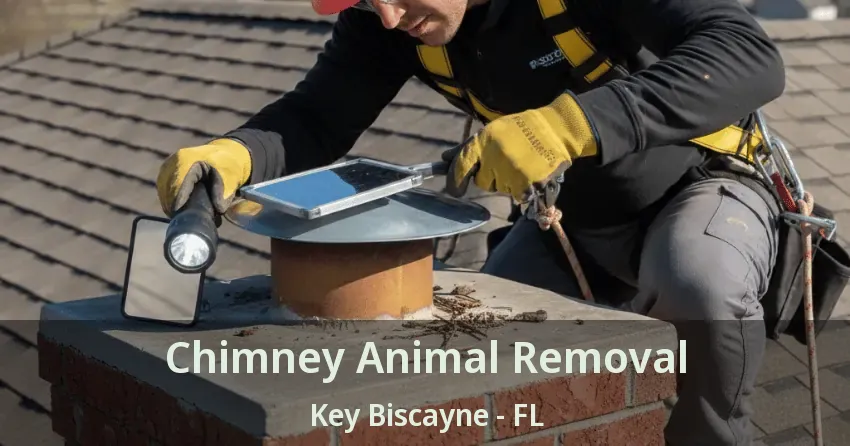 Chimney Animal Removal Key Biscayne - FL