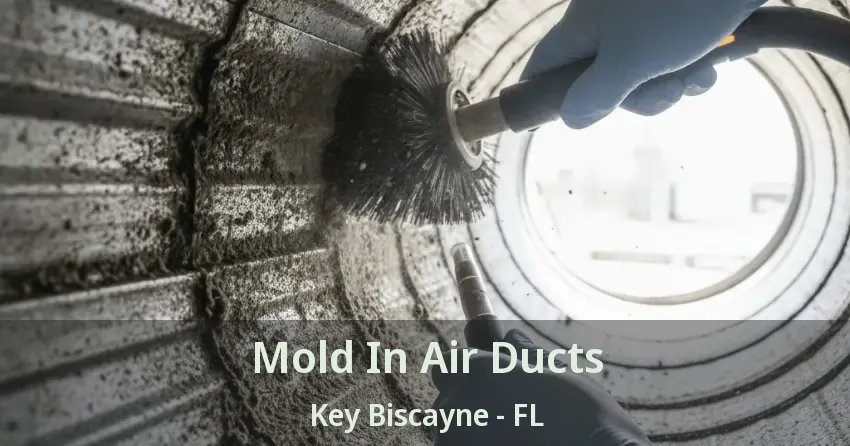 Mold In Air Ducts Key Biscayne - FL
