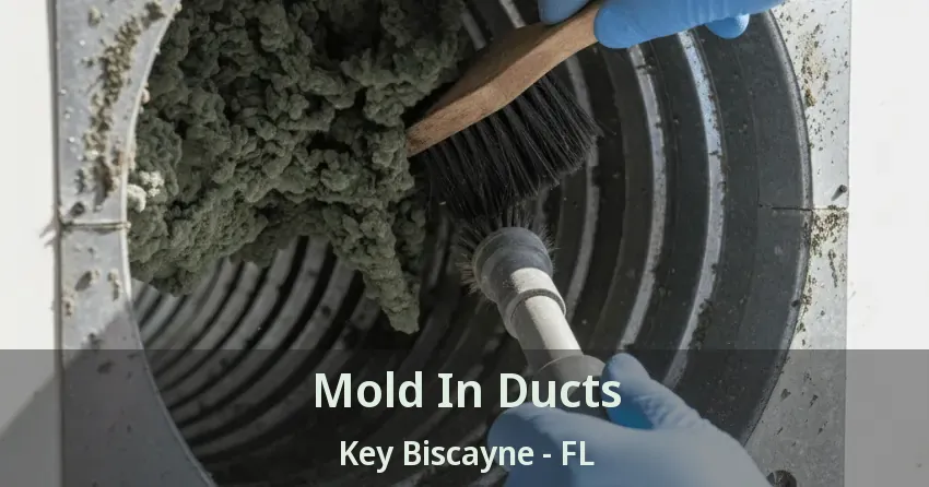 Mold In Ducts Key Biscayne - FL
